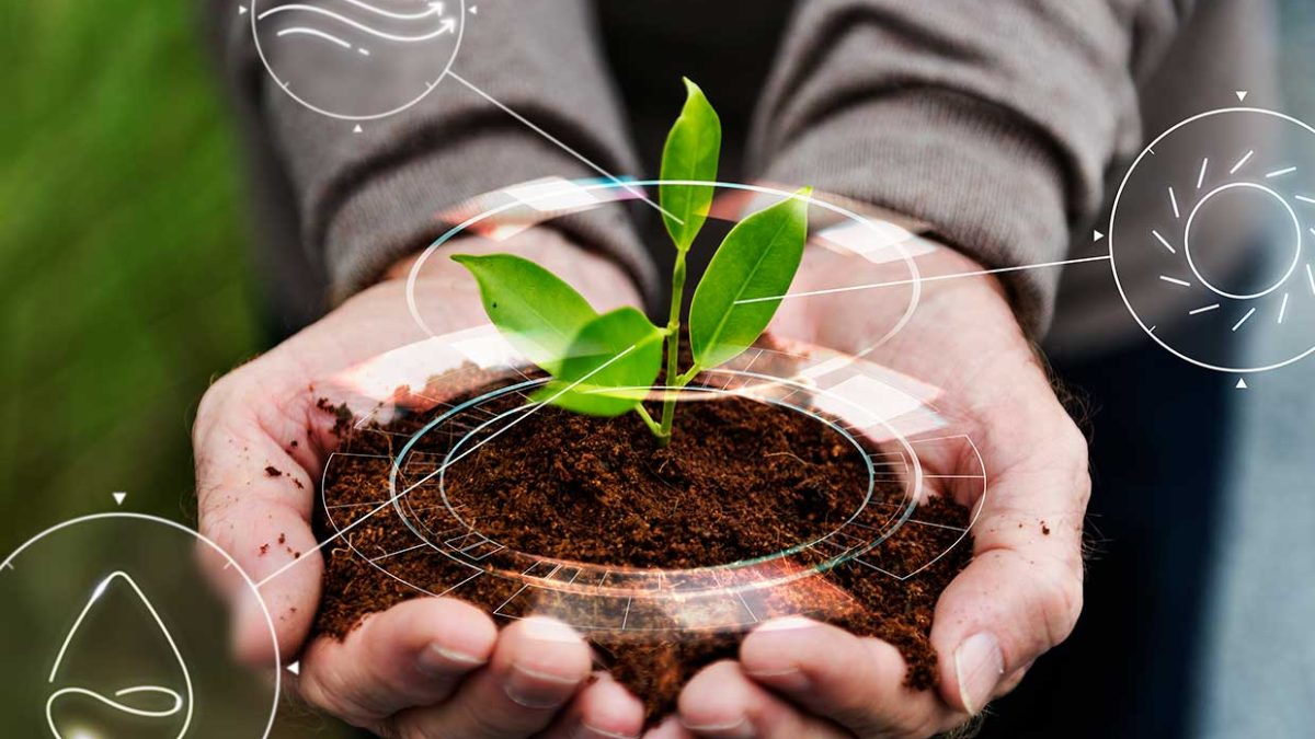 Linha de Evasão de Perfumes